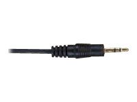 Crestron CBL-AUDIO-6 - Audio cable - stereo mini jack male to stereo mini jack male - 1.83 m