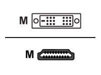 Crestron CBL-HD-DVI-6 - Adapter cable - DVI-D male to HDMI male - 1.83 m
