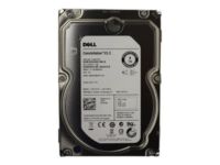 Dell - Hard drive - 1 TB - internal - 3.5" - SAS - NL - 7200 rpm - for PowerEdge C6220, R220, R320, T110, T320, T420, T430, T630, VRTX; PowerEdge R430, R530